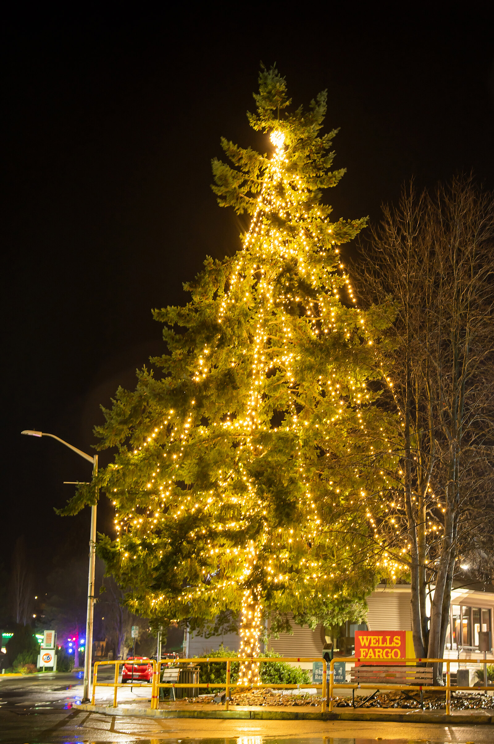 Friday Harbor Holiday 2023